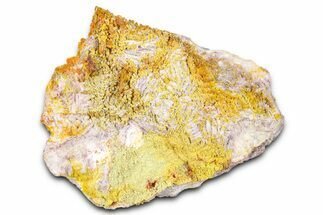 Yellow-Orange Vanadinite & Wulfenite Crystal Cluster - Arizona #368918