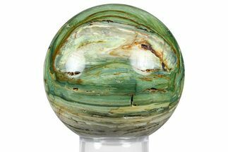 Gary Green Jasper (Larsonite) Bog Wood Sphere - Oregon #369047