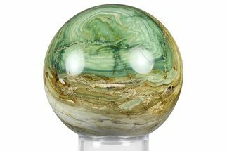 Gary Green Jasper (Larsonite) Bog Wood Sphere - Oregon #369048
