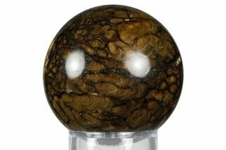 Polished Fossil Stromatolite (Chlorellopsis?) Sphere - Wyoming #369066