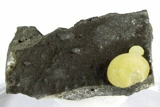 Globular Yellow Calcite Formations on Basalt - Italy #368858