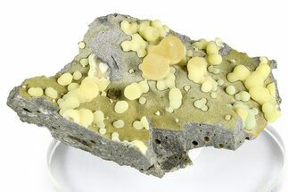 Globular Yellow Calcite Formations on Basalt - Italy #368887