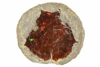 Ethiopian Chocolate Opal Nodule - Yita Ridge #369082