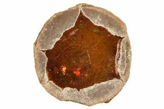 Ethiopian Chocolate Opal Nodule - Yita Ridge #369126