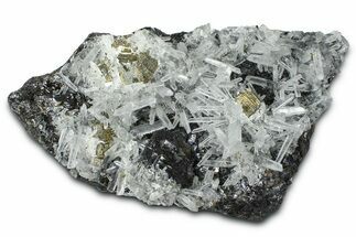Cubic Pyrite Crystals and Quartz on Sphalerite - Peru #369826