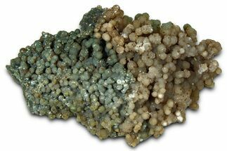 Green and Tan Botryoidal Grape Agate - Indonesia #369970