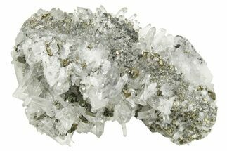 Gleaming Cubic Pyrite Crystals with Quartz - Peru #369833