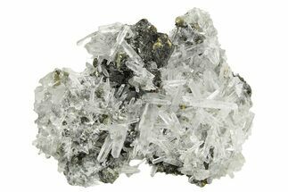 Gleaming Cubic Pyrite Crystals and Quartz on Sphalerite - Peru #369836