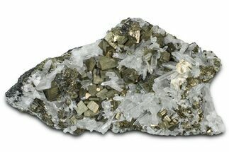 Cubic Pyrite Crystals on Quartz - Peru #369807