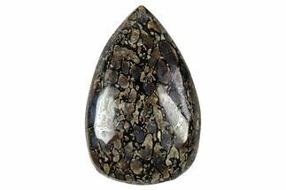 Polished Dinosaur Bone (Gembone) Cabochon - Colorado #370710