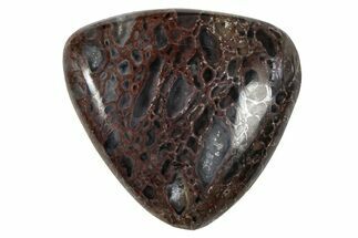 Polished Dinosaur Bone (Gembone) Cabochon - Colorado #370715