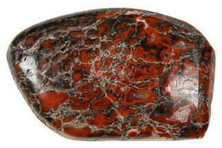 Polished Dinosaur Bone (Gembone) Cabochon - Colorado #370720