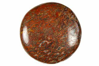Polished Dinosaur Bone (Gembone) Cabochon - Colorado #370753