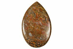 Agatized Dinosaur Bone Chunk (Polished) (#6428) For Sale