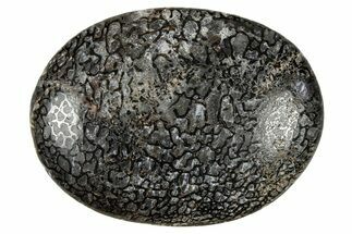 Polished Dinosaur Bone (Gembone) Cabochon - Colorado #370767