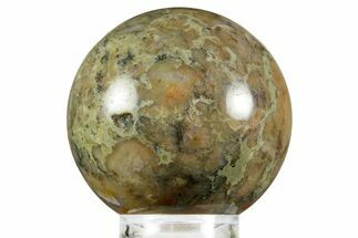 Polished Dinosaur Coprolite Sphere - Utah #370914