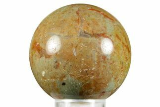 Polished Dinosaur Coprolite Sphere - Utah #370921