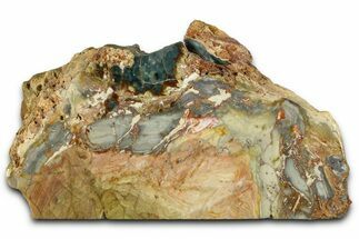 Free-Standing, Gary Green Jasper (Larsonite) Bog Wood - Oregon #370997