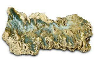 Polished Gabbs Valley Seam Agate Slab - Nevada #371178