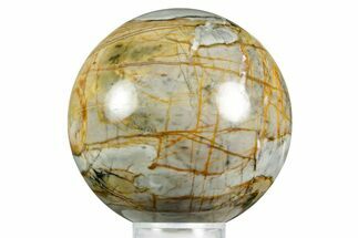 Polished Picasso Marble Sphere - Utah #371146