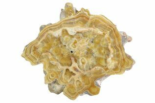 Banded Aragonite For Sale