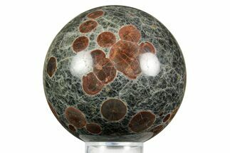 Polished Orbicular Rhyolite (Peanut Obsidian) Sphere - Mexico #371240