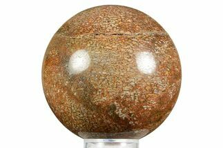 Polished Dinosaur Bone (Gembone) Sphere - Colorado #371251