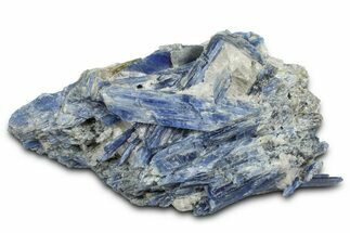 Vibrant Blue Kyanite Crystals In Quartz - Brazil #368804