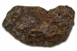 Chondrite Meteorite ( g) - Western Sahara Desert #371268