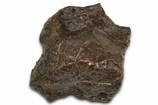 Chondrite Meteorite ( g) - Western Sahara Desert #371295