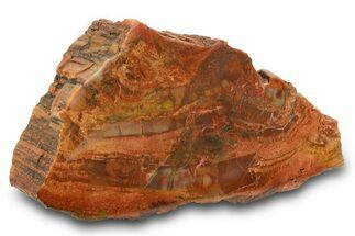 Colorful, Polished Petrified Wood (Araucarioxylon) - Arizona #371649