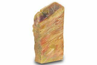 Free Standing Petrified Wood (Araucarioxylon) - Arizona #371662
