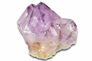 Cactus Quartz (Amethyst) Crystal - South Africa #371684