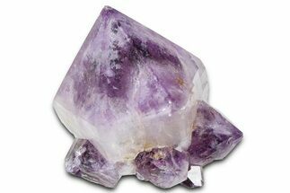 Cactus Quartz (Amethyst) Crystal - South Africa #371686