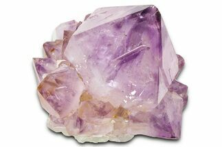 Cactus Quartz (Amethyst) Crystal - South Africa #371688
