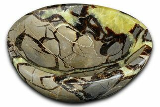 Eye-Eatching Polished Septarian Dish - Madagascar #371702