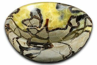 Eye-Eatching Polished Septarian Dish - Madagascar #371704
