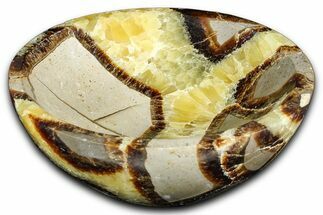 Eye-Eatching Polished Septarian Dish - Madagascar #371708