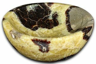Eye-Eatching Polished Septarian Dish - Madagascar #371710