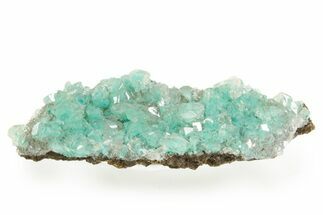 Teal Blue Rosasite in Calcite - Mexico #371798