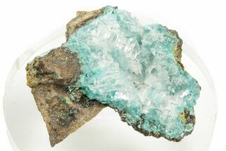 Calcite Crystals on Teal Blue Rosasite - Mexico #371842