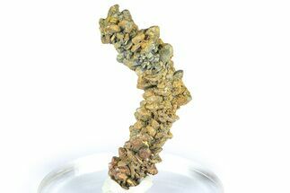 Glistening Marcasite Crystal Stalactite - Linwood Mine, Iowa #372117