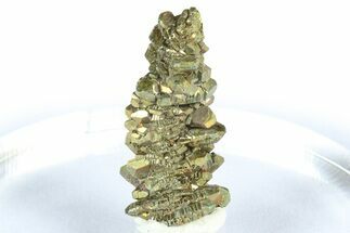Glistening Marcasite Crystal Stalactite - Linwood Mine, Iowa #372130