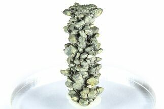Glistening Marcasite Crystal Stalactite - Linwood Mine, Iowa #372133