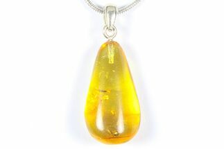 Polished Baltic Amber Pendant (Necklace) - Contains Insects! #368893