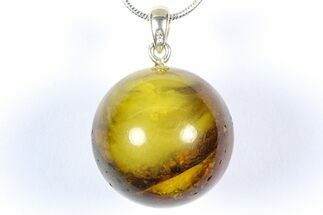 Polished Baltic Amber Pendant (Necklace) - Contains Fly! #368909