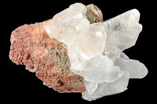 Selenite Crystals on Matrix - Naica Mine, Mexico #372173