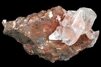 Glassy Selenite Crystals on Matrix - Naica Mine, Mexico #372175