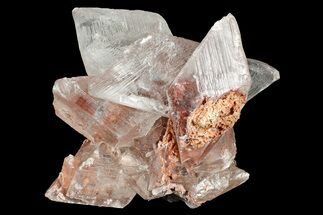 Glassy Selenite Crystal Cluster - Naica Mine, Mexico #372182