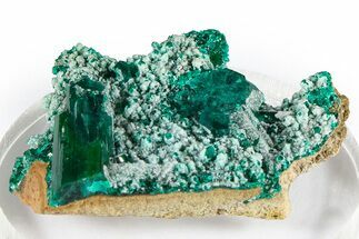 Emerald-Green Dioptase Crystal Cluster - Congo #372206